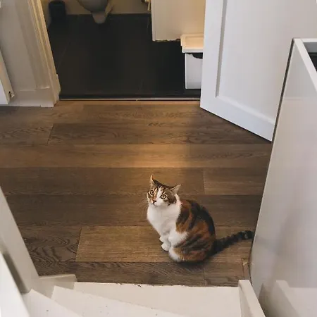 ホームステイ Herengracht Private With Canal View *